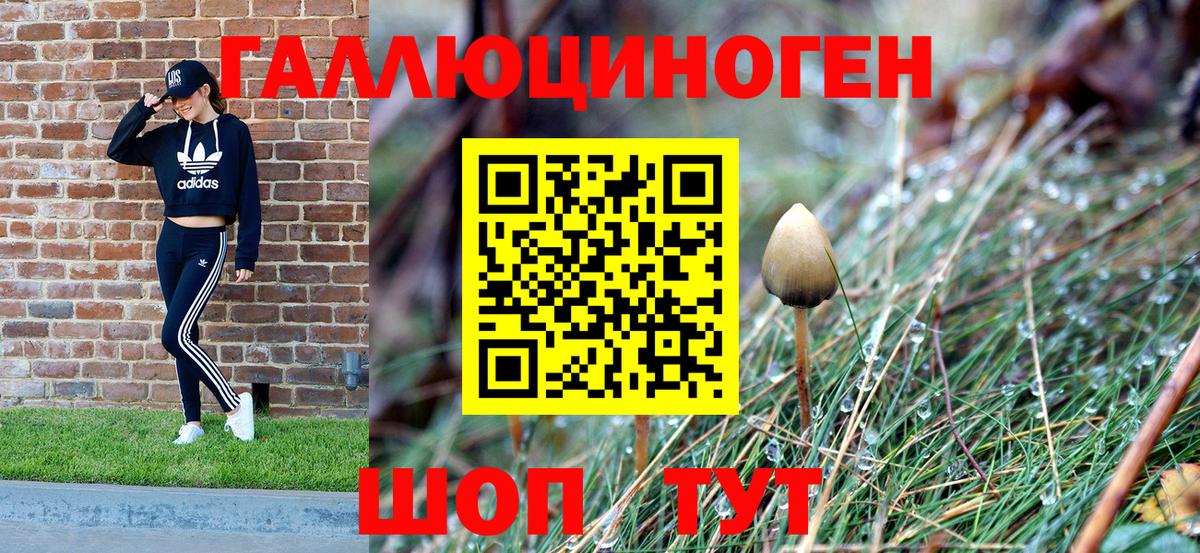 Котельники  Псилоцибиновые грибы GOLDEN TEACHER  Галлюциногенные грибы мухоморы  закладка  Вход с VPN 